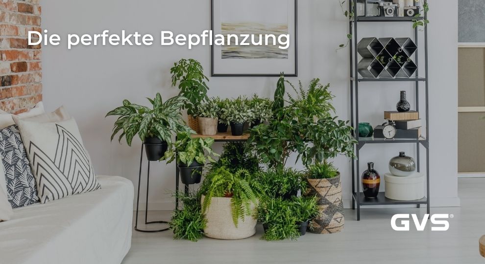 Read more about the article Die perfekte Bepflanzung
