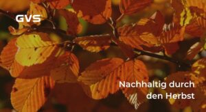 Read more about the article Nachhaltig durch den Herbst